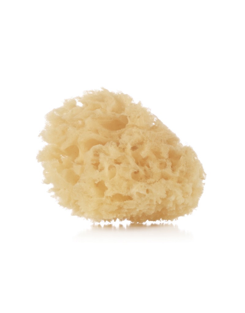 Janè Pack due spugne naturali