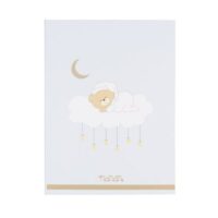 Nanàn Album Fotografico Puccio Azzurro